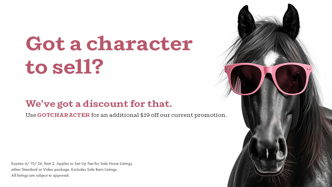 Coupon showing a black horse with star wearing a pair of hot pink sunglasses. Heading reads 