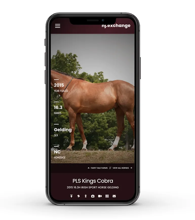 Cell phone display demonstrating how landscape photos are cropped on mobile devices. The horse featured in this ad has his head and tail cropped out.