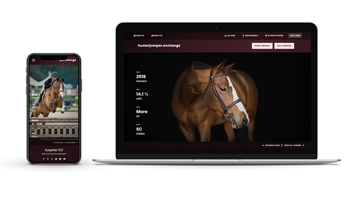 Laptop display demonstrating how portrait oriented photos are are shown on wide monitors. 