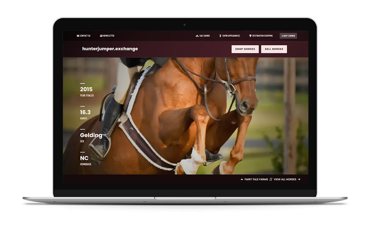 Laptop display demonstrating how portrait oriented photos are are shown on wide monitors. 