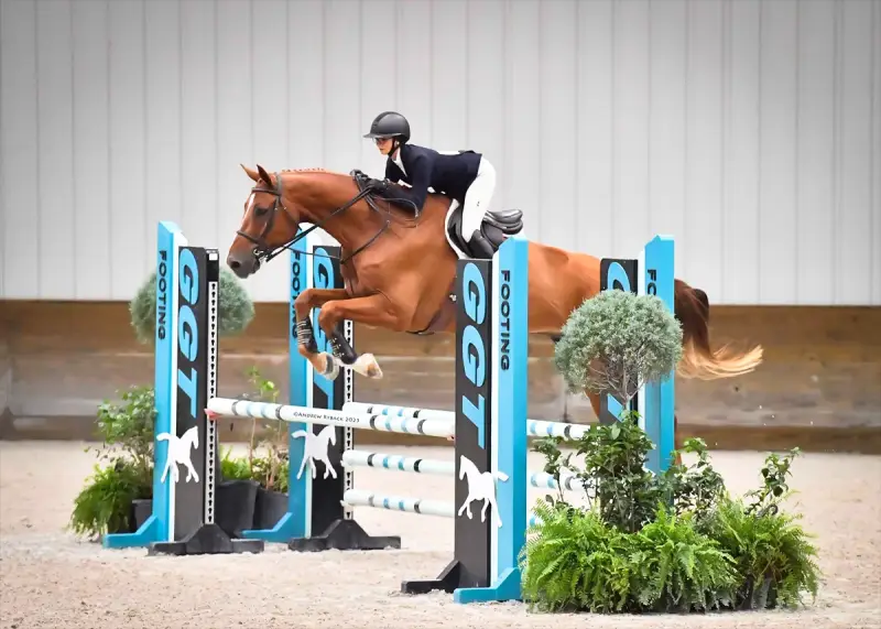 Sale Horse Creme Brulee