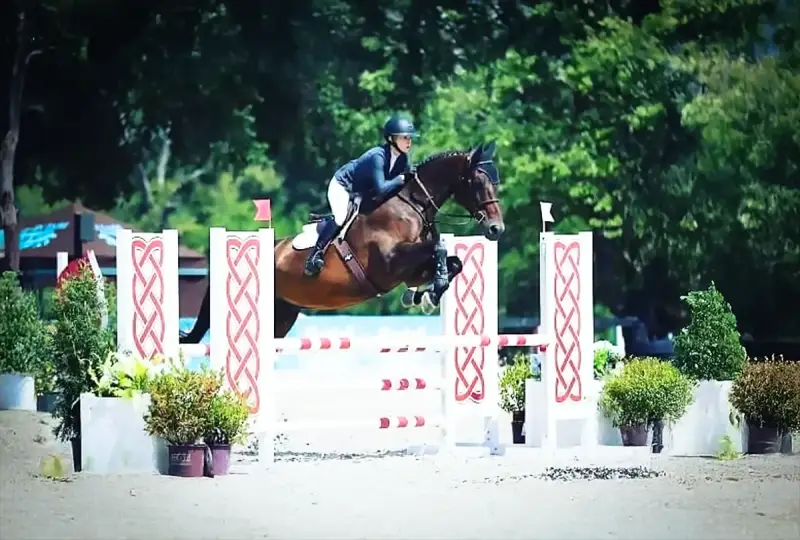 Sale Horse Hamilton E