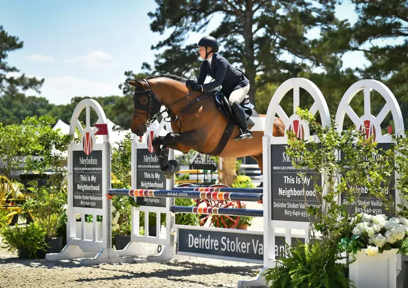 Sale Horse KT Rebel
