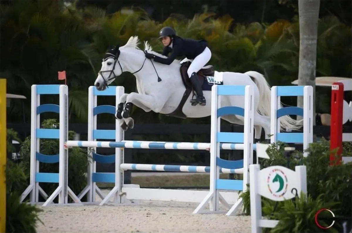 Shop the HJx Sale Horses