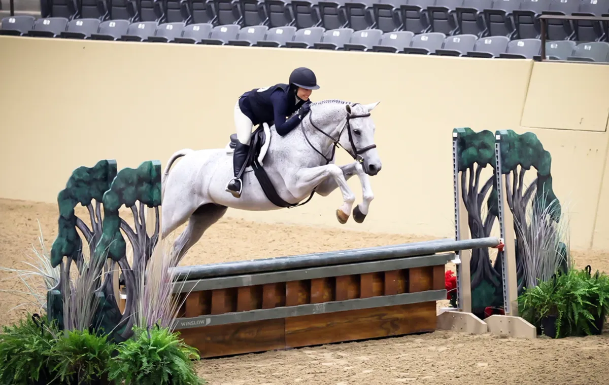 Shop the HJx Sale Horses
