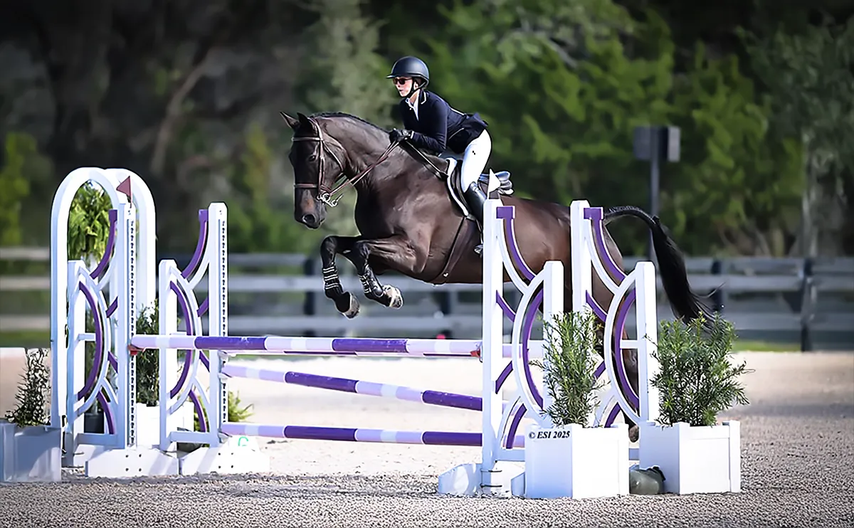 MY MUM JUMPS A 17HH HORSE! CHELSEA AND CABRIO! - YouTube