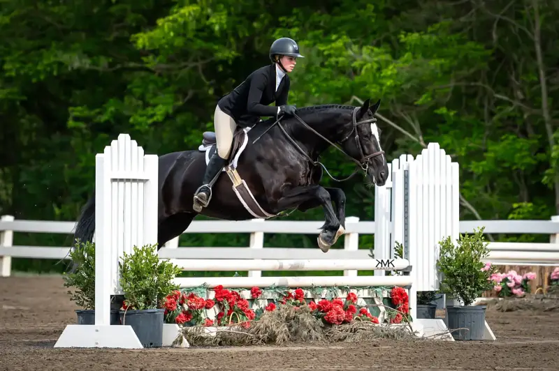 https://hjxbucket.s3.us-east-2.amazonaws.com/horses/gallery/alpines-opal-hunter__kmkPhotography.webp