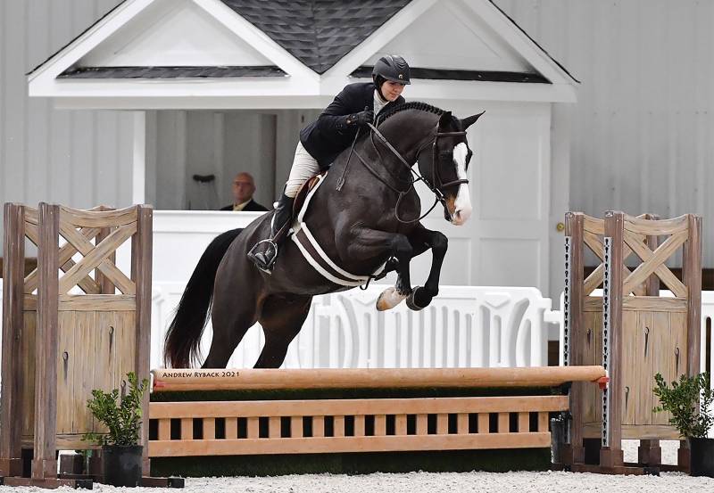 https://hjxbucket.s3.us-east-2.amazonaws.com/horses/gallery/armani-baby-green-hunter_1_1.jpg