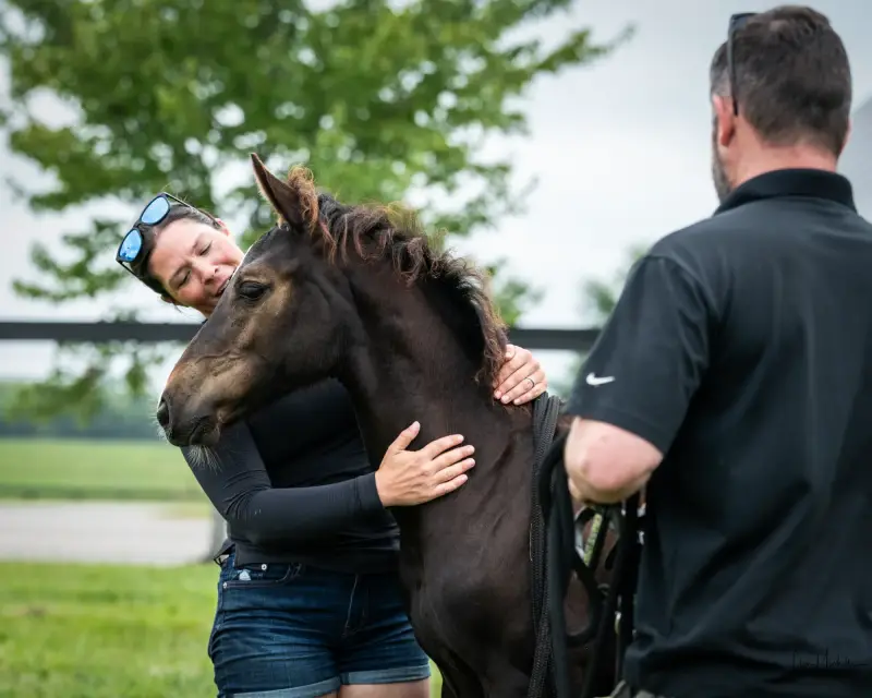 https://hjxbucket.s3.us-east-2.amazonaws.com/horses/gallery/baleria-fe__NAS-filly_inspection-3.webp