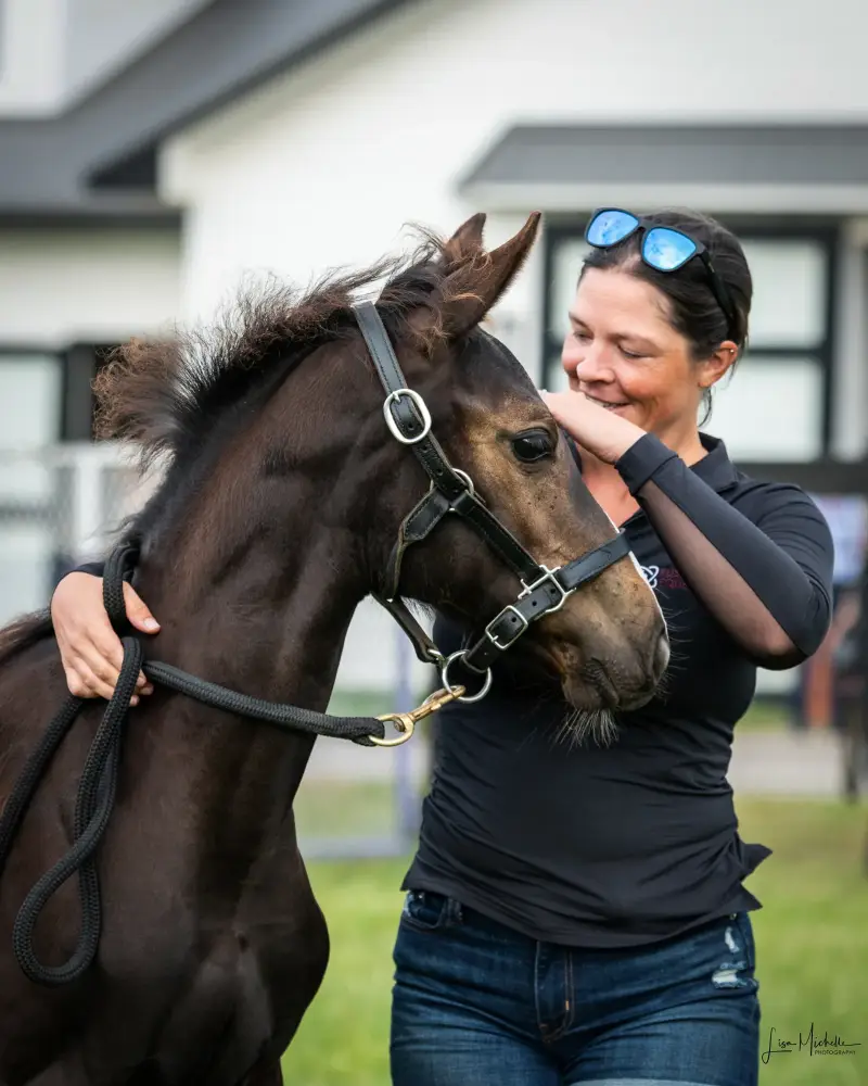 https://hjxbucket.s3.us-east-2.amazonaws.com/horses/gallery/baleria-fe__NAS-filly_inspection.webp