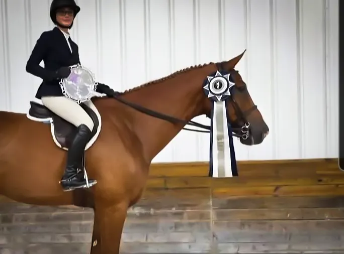 https://hjxbucket.s3.us-east-2.amazonaws.com/horses/gallery/creme-brulee__eq-champ.webp
