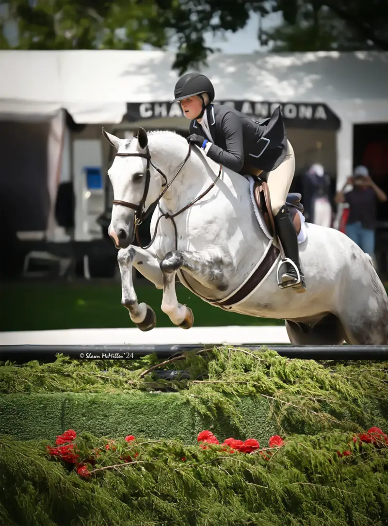 https://hjxbucket.s3.us-east-2.amazonaws.com/horses/gallery/due-north__hunter__shawn-mcmillen.webp