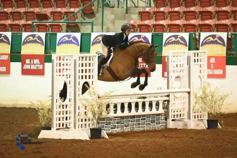 https://hjxbucket.s3.us-east-2.amazonaws.com/horses/gallery/everlasting_childrens-hunter-2.webp