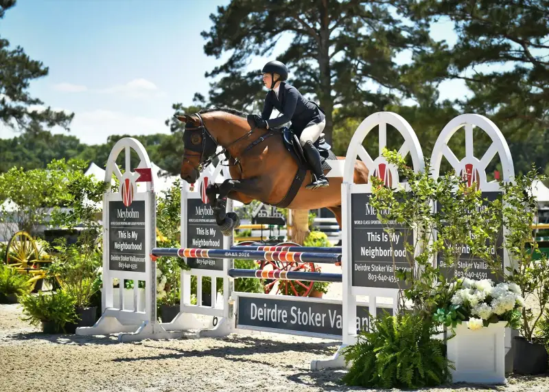 https://hjxbucket.s3.us-east-2.amazonaws.com/horses/gallery/kt-rebel_jumper_as-photo.webp
