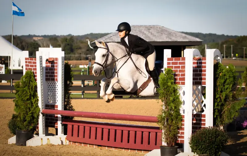 https://hjxbucket.s3.us-east-2.amazonaws.com/horses/gallery/maserati__pony-hunter.webp