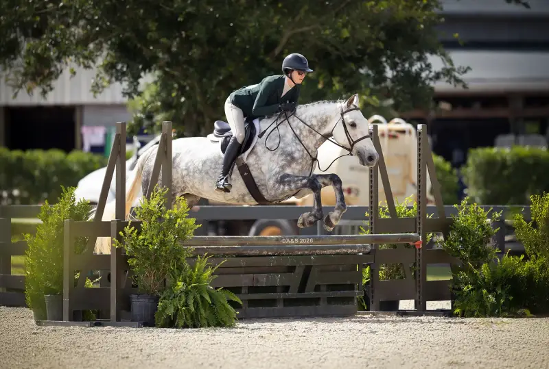 https://hjxbucket.s3.us-east-2.amazonaws.com/horses/gallery/stillbrook-treasure_hunter_AandSphoto.webp