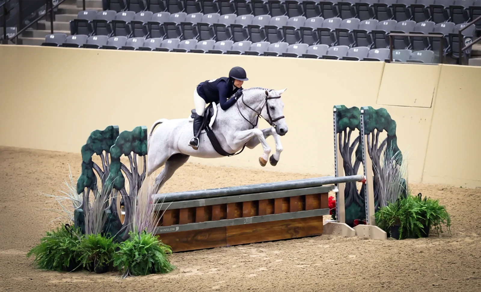 Hardy, a 2014 16h Czech Warmblood Gelding


     available for your consideration.