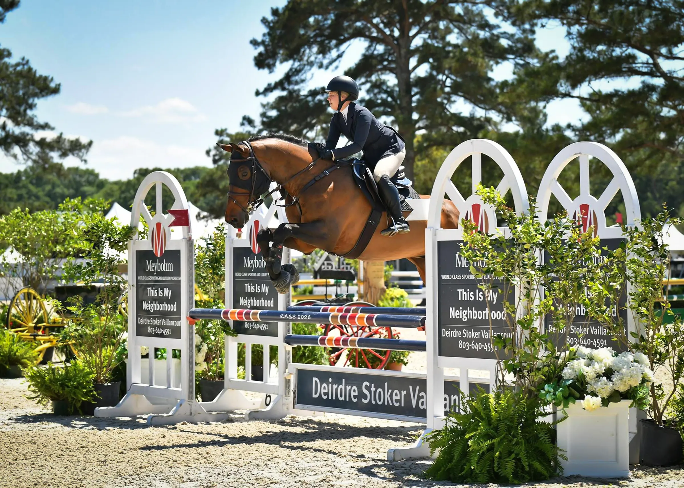 Sale Horse KT Rebel