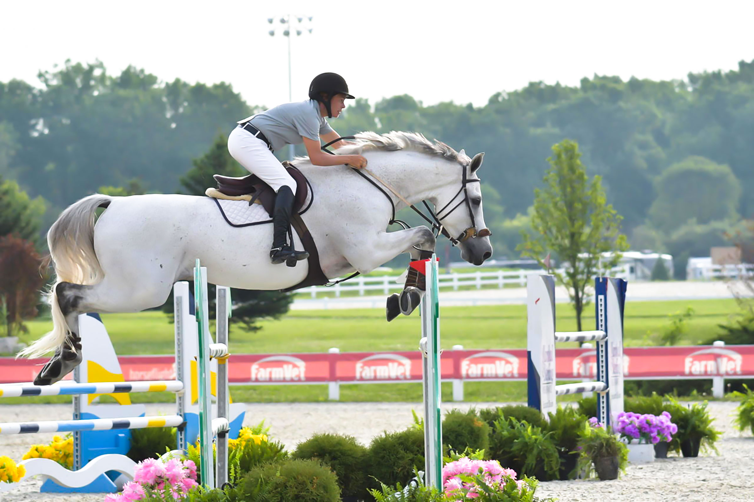 Raven Ridge Farm An HJx Sale Barn Listing