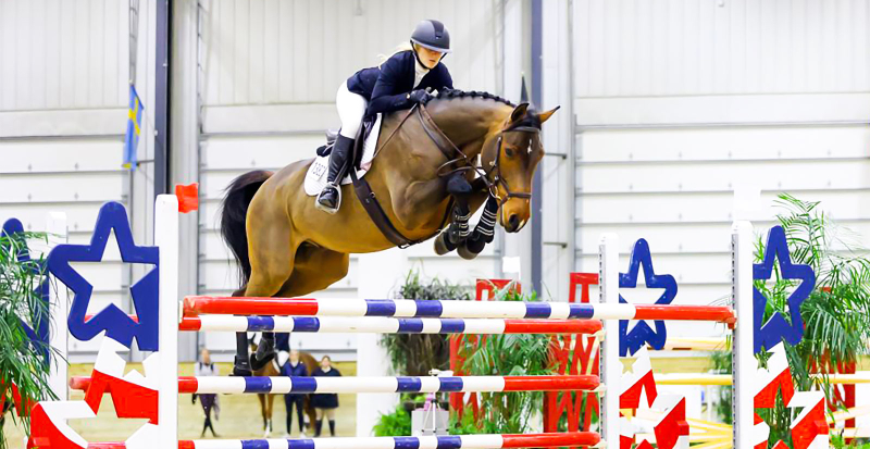 Kali Jerman Sport Horses