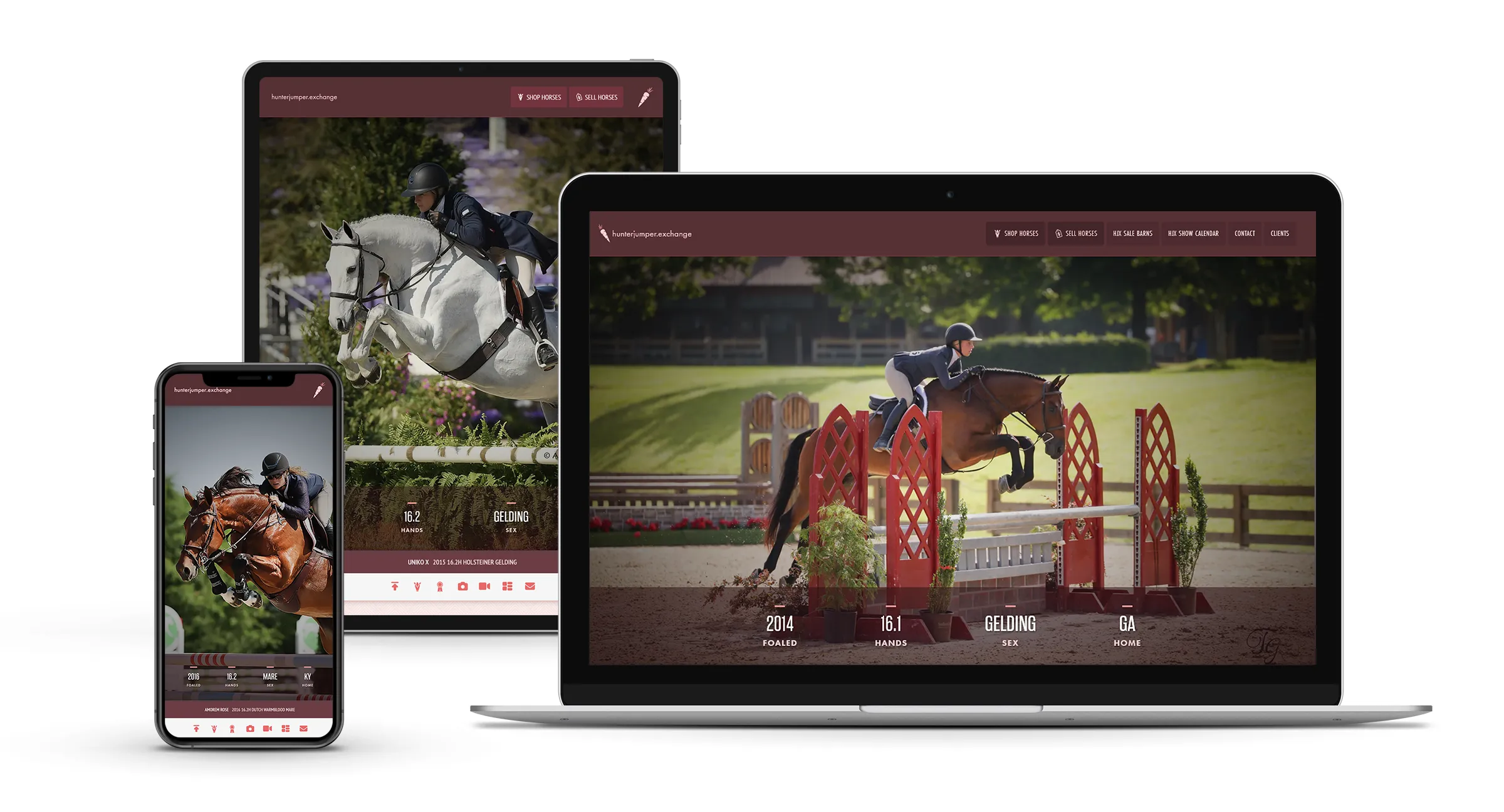 Laptop, tablet and mobile phone view of our Hero Feature, which is the large image that sits at the top of each Sale Horse Listing.