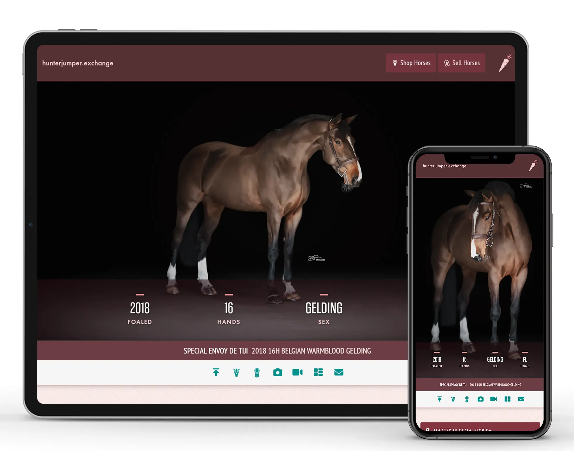 HJx Sale Horse Listing displayed on a tablet turned sideways and on a mobile phone in portrait orientation, features a freshly-clipped bay horse with socks and a blaze standing in front of a darkened background.