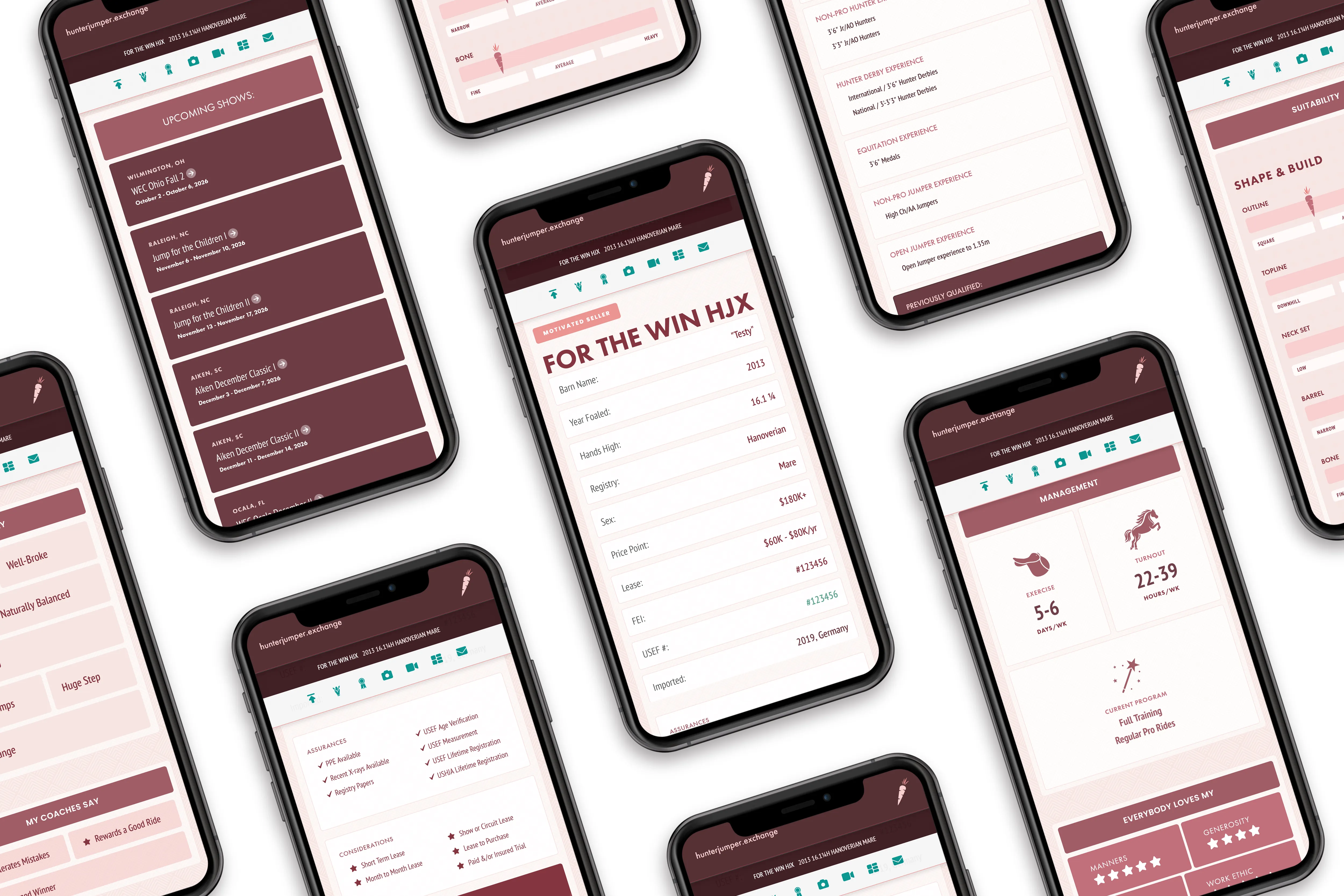 Multiple cell phone screens showing different parts of an HJx Sale Horse Listing.