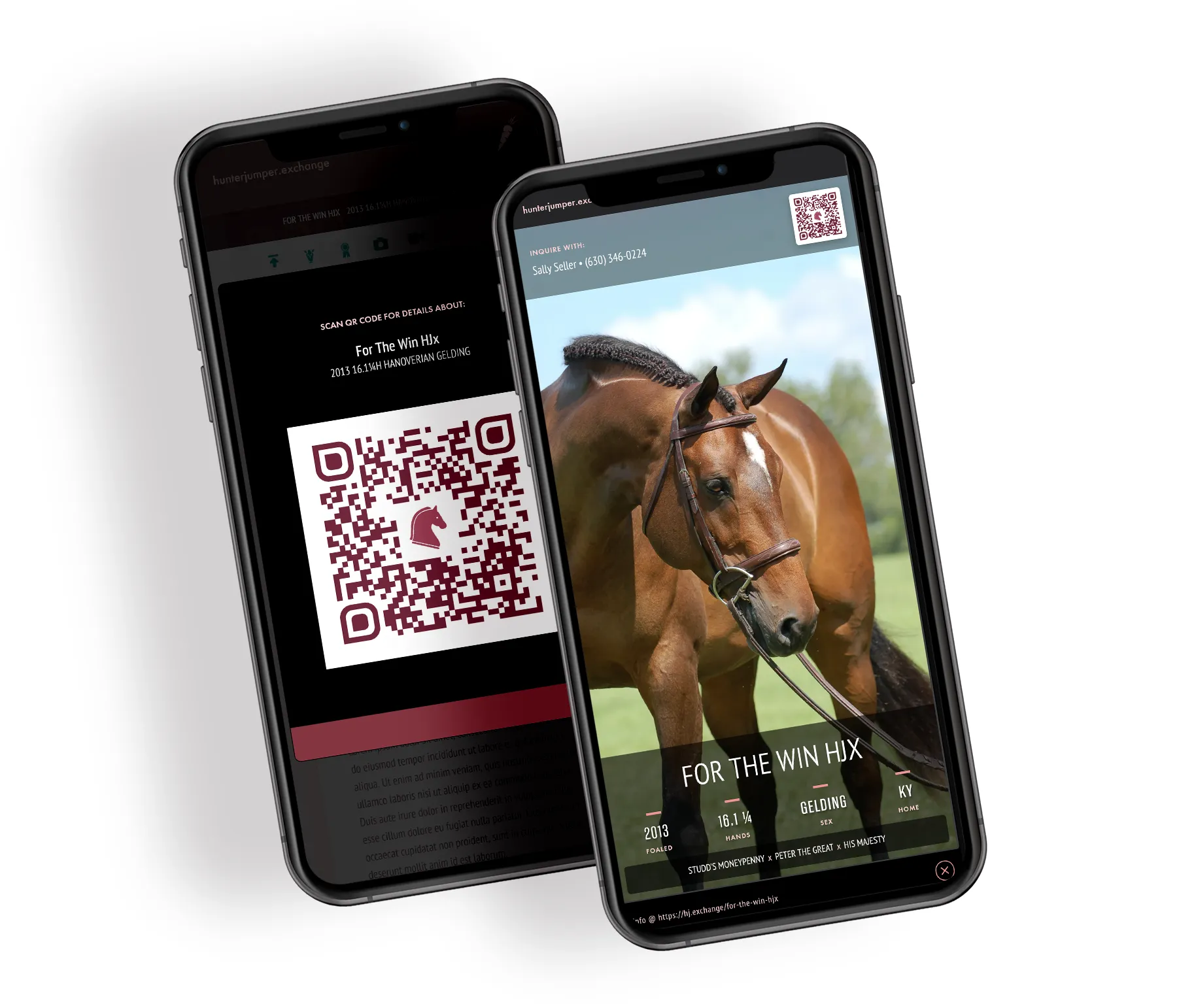 Examples of Screenshot Flyers and customized QR codes that come with HJx Sale Horse Listings.